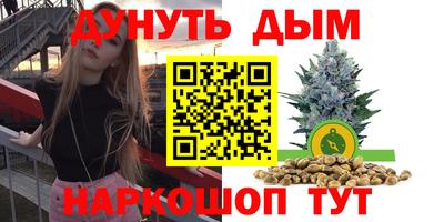 сатива Шебекино