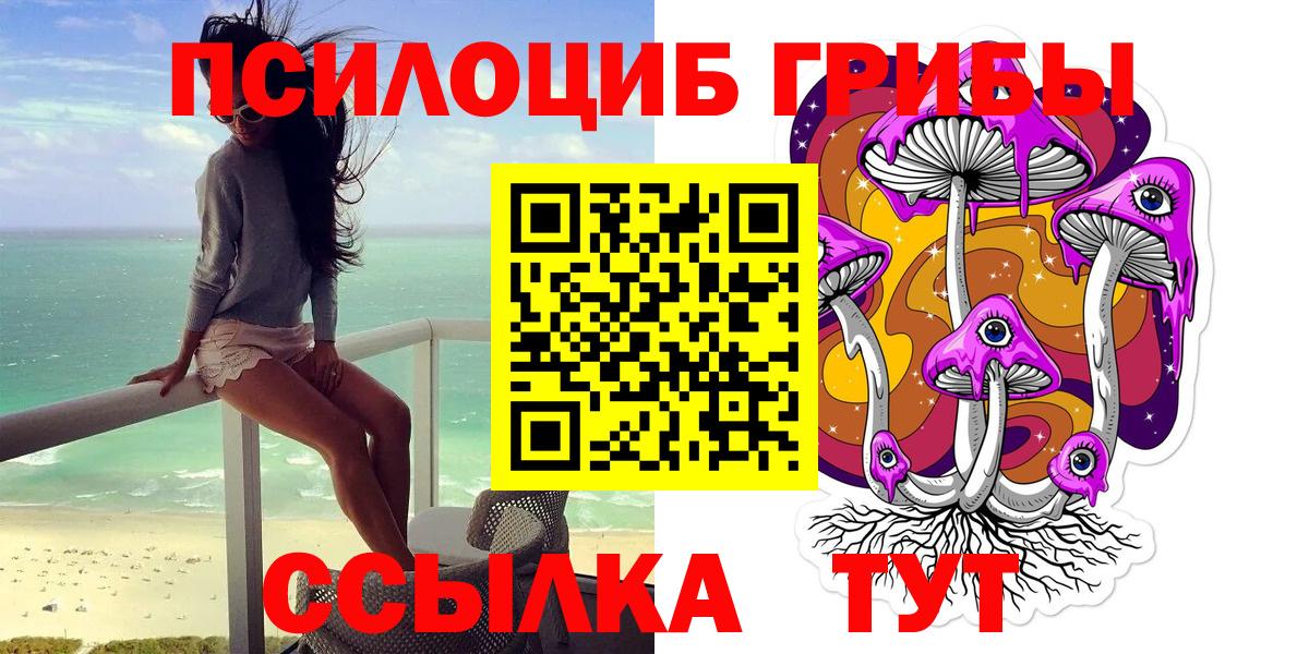 Междуреченск  Псилоцибиновые грибы Cubensis  Псилоцибиновые грибы мицелий  Вход с VPN 