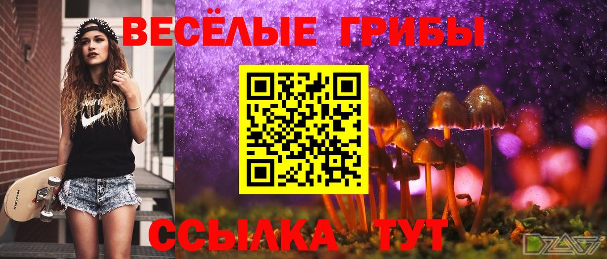 Галлюциногенные грибы Magic Shrooms Междуреченск